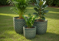 Emerald Weave Fiber Planter Set