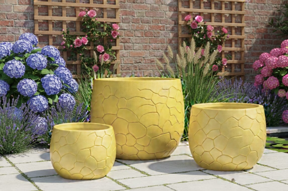 Rough-Cut Boulder Bowl